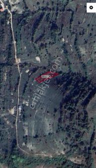 Kandıra Çalca'da 1325 M2 Müstakil Parsel Tarla