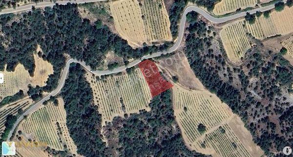 Yuvam Arsa Ofisinden Geyve Hisarlık'da Fırsat Tek Tapu