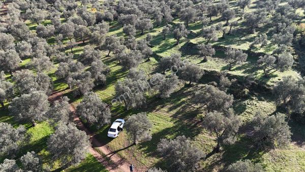 Vitrinden Tuzcumuratta 8 Dairelik 553 M2 4 Kat İmarlı Arsa