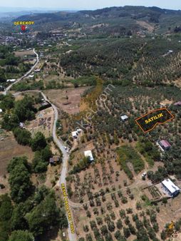 Koçak'tan Dereköy'de Köye Yakın Yatırımlık