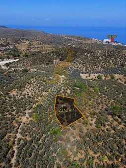 Koçak'tan Trilye'de Yapı Kayıtlı Bağ Evi