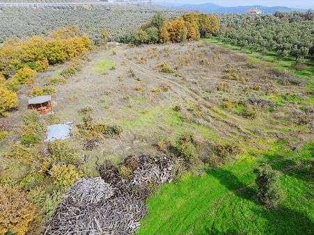 Mudanya / Yaylacık'ta 3.700 M² Kaçırılmayacak Fırsat Tarla