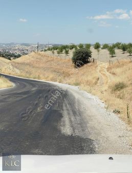 Klc Yatırım A.ş.'den Yol Kenarı Tek Tapu 8 Senelik Badem Bahçesi