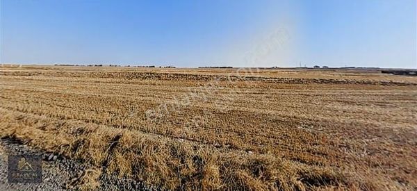 Silivri Alipaşa'da Yola Cephe 205 M2 Tarla