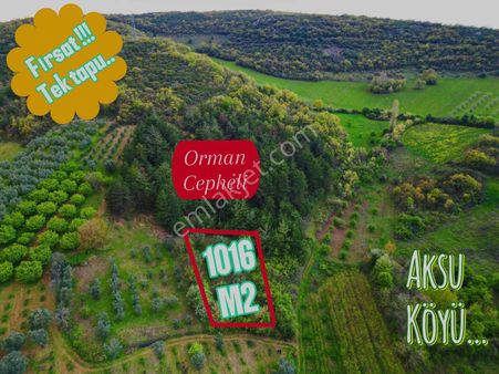 Kestel Aksu Köyünde Tek Tapulu, Zeytin Ağaçlı 1016 M² Tarla