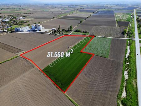 Karacabey Yenisarıbeyde Harika Konumda 31.560 M2 Tarla