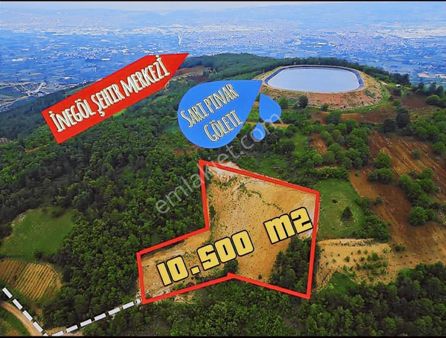 İnegöl Sarıpınar Köyünde Tek Tapu 10.500 M² Tarla