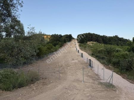 İznik'te Fırsat !! Asfalt Yola Cephe Hobi Bahçeleri Son 5 Parsel