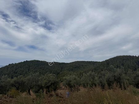 Osmangazi Gündoğduda Deniz Manzaralı 566 M² Hisseli Arazi