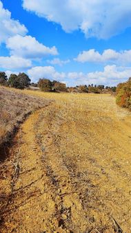 Reşadıyede Gelişen Bölgede 20 Dönüm Yatırıma Uygun Tarla