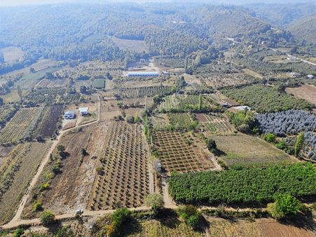 Bursa Kestel Gözede Köyünde Satılık Tarla 6.766 M² Tek Tapu