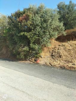 Kemalpaşa Bağyurdunda Satılık Arsa