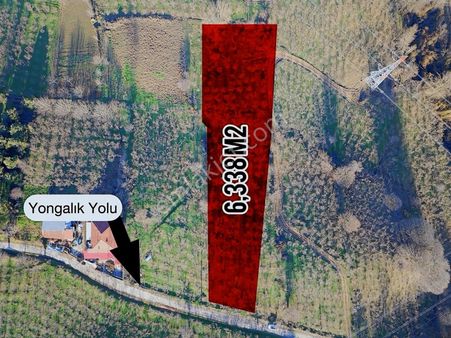 !!! Esmer Emlak'tan Satılık Fındık Bahçesi !!!