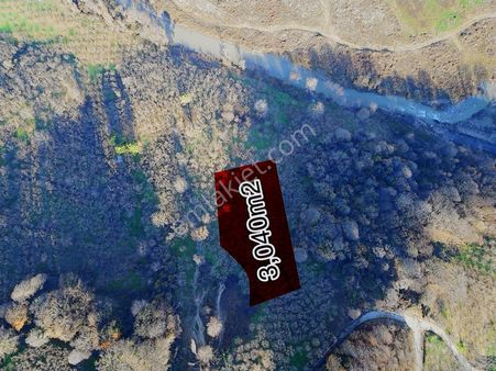 !!! Esmer Emlak'tan Satılık Fındıklık !!!