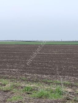 Yeni Toki Bölgesinde Sahibinde Acil Satılık Son Parseller