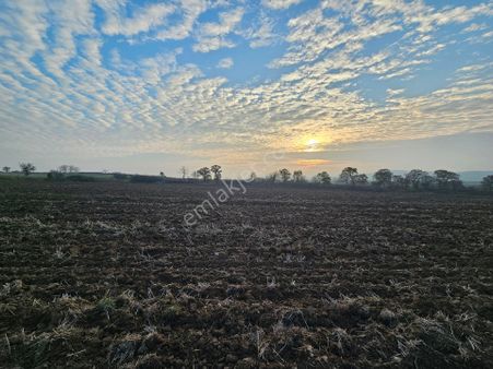 İpsala İbriktepe Köyünde Satılık Tarla