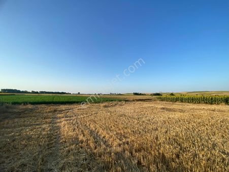 Kırklareli Babaeski Ağayeri Köyü Satılık Müstakil Tek Tapu Yolu Olan Tarla Köye Yakın