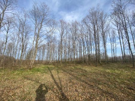 Kırklareli Vize Küçükyayla Köye Yakın Tek Tapu Müstakil Satılık Tarla