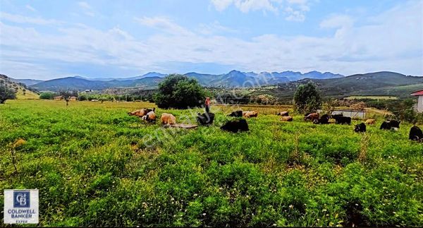 Tunceli İsmet İnönün'de Tarla Fırsatı