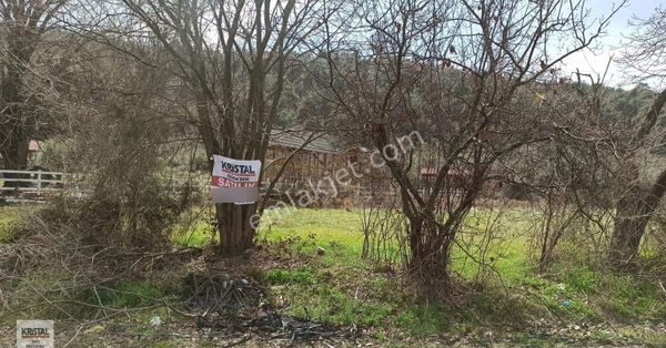 Kristal Marin'den Kestel Dudaklı Da Satılık Arazi