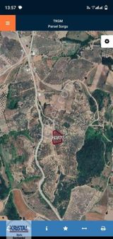 Kristal Marin'den Mudanya Çınarlı Köyün'de Satılık Zeytinlik