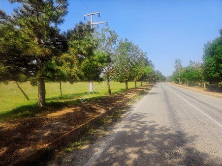 Satılık 6.312 M² Arsa Mesire Alanları İçinde, Anayola Cephe