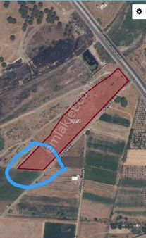 Dikili Sancak Emlak'tan Satılık Tarla!