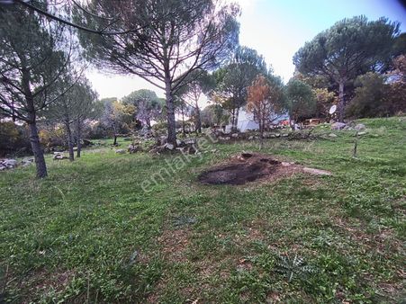 Sancak'tan Bergama Ayvatlar Köyünde Fırsat Satılık Tarla