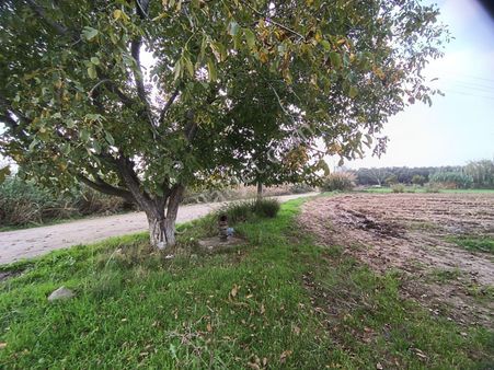 Sancak'tan Burhaniye Çoruk Köyün'de Fırsat Satılık Tarla