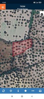 Ayvalık Gazikemalpaşa'da 3. 456 M2 Satılık Zeytinlik