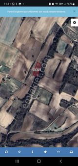 Edirne Fatih Mah. Paçacılar Mevkiinde Satılık Tarla Ve Bağlar