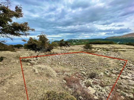 İmroz Emlak'tan Tepeköy'de Deniz Manzaralı Keyifli Bahçe