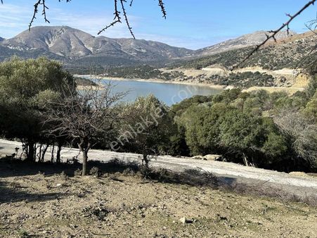 İmroz Emlak'tan Asfalta Sıfır 4 Dönüm Zeytinlik