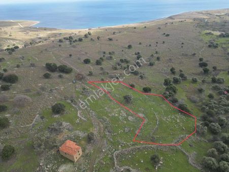 İmroz Emlak'tan Güzelcekoy'da 4.200 M2 Deniz Manzaralı Tarla