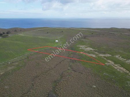 İmroz Emlak'tan Güzelcekoy'da Denize 430 Metre Yakınlıkta Tarla