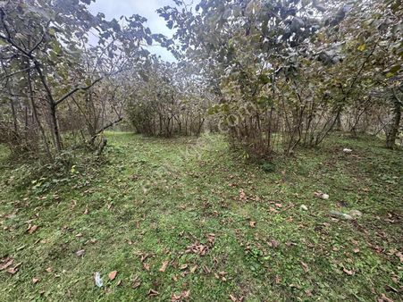 Vızyon'dan Yıldızlı 7000 Yada 14000 M2 Satılık Bahçe