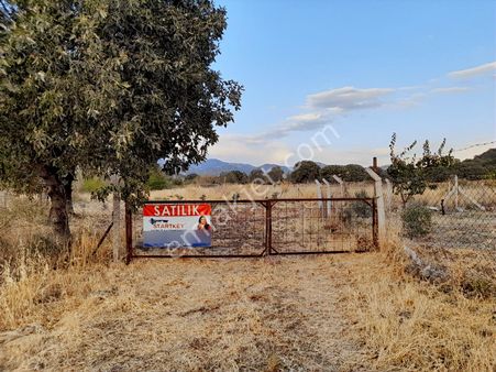 Dikili Satılık Tarla On Gün Fiyat Düştü