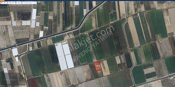 7 Yaşında Bakımlı Ceviz Bahçesi Uygun Fiyat İle Satılıkkk