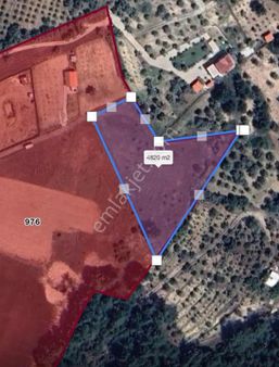 Buca Kırıklar Mevkinde Hisseli Satılık 4800m Tarla Tapudan Satış