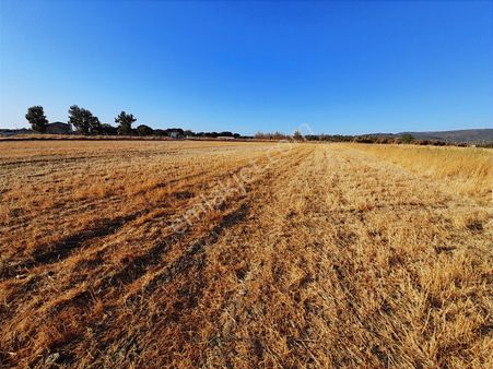 Dikili Bahçeli Mahallesinde Satılık Yatırımlık Tarla