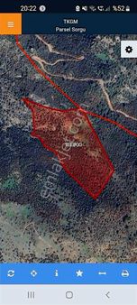 Dikili Bahçeli Mahallesinde Satılık Zeytinlik