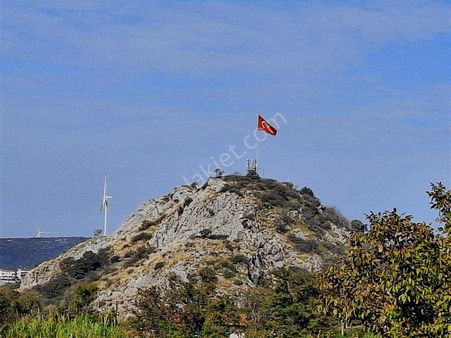 Seferihisar Da Satılık Mandalin Bahçesi