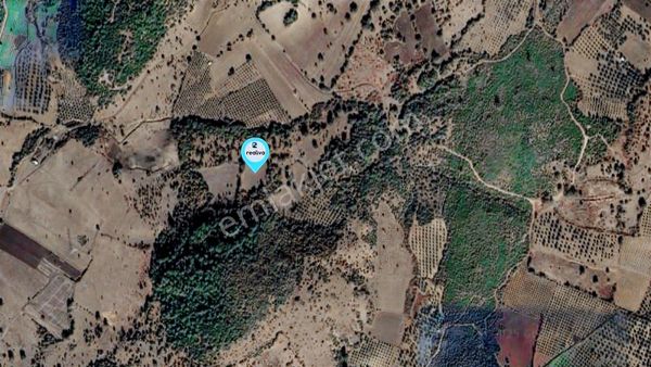 Realiva'dan Bergama Koyunelinde Satılık Tarla