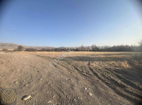 Subaşı'da Asfalt Yola Sıfır Yeşillikler İçinde Tarla