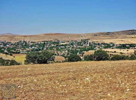 Felahiye De Köy Manzaralı Tarla
