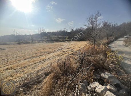 Gesi Kuzey'de İmarlı Bahçe