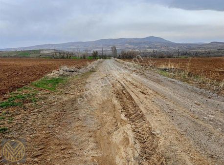 Ağırnas Lalebeli'de Harika Konumda Tarla