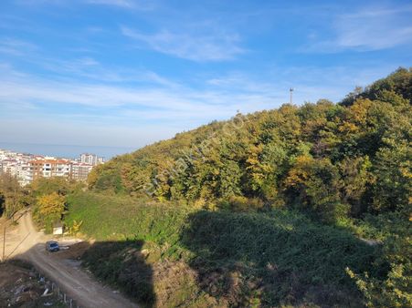 Samsun Atakum Deniz Ve Orman Manzaralı Satılık 1+1 Sıfır Daire