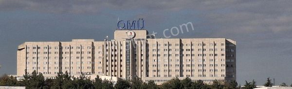 Atakum Körfezde Bahçeli Müstakil Yaşam Kiralık 3+1 Daire