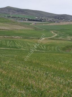 Gölbaşı Konut İmarlı Arsa